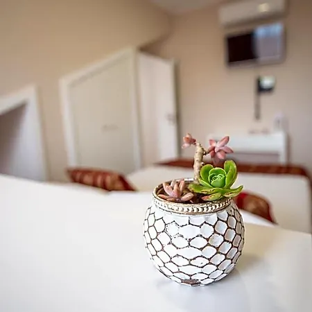 Garden Bed & Breakfast 3*