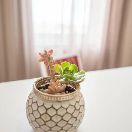 Bed & Breakfast Garden