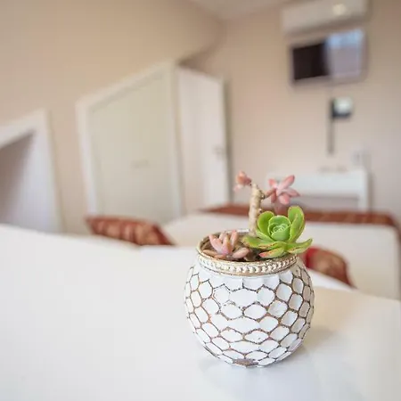 Garden Horta (Azores)