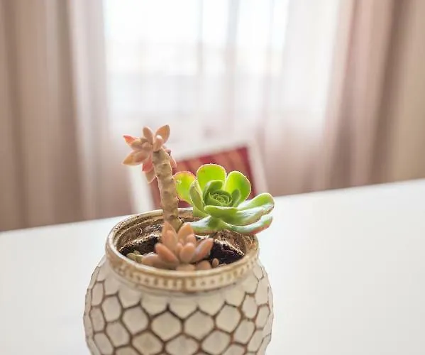 Bed & Breakfast Garden