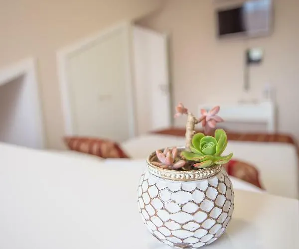 Garden Horta (Azores)